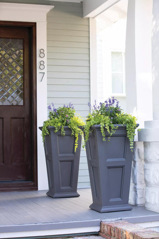  || https://assets.gardeners.com/transform/2bab20cf-7878-4616-98ab-b9f3aff1410d/8600109_8453-tif