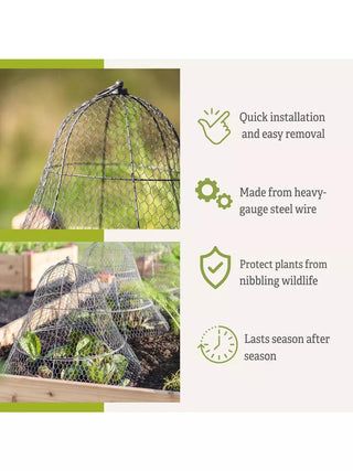  || https://assets.gardeners.com/transform/37ad96d4-995d-471b-b6fe-3f70eb352f17/8600116_3