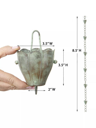  || https://assets.gardeners.com/transform/14c3bac1-44bf-41ed-91db-5908f0ac9312/8600207-BLVD_02V