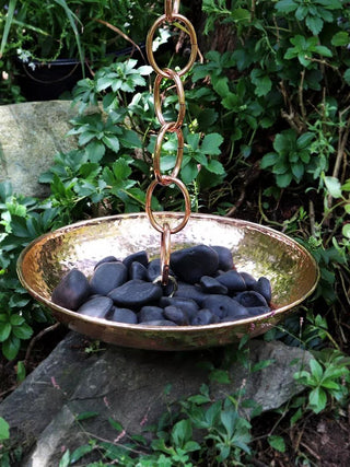  || https://assets.gardeners.com/transform/8545455d-1cce-4a4a-a4c2-3cf7d281aaf6/8600211_02V