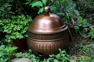  || https://assets.gardeners.com/transform/7dd50cc2-0b1c-4ee1-a84f-a1492baf5e24/8600213_01V-tif