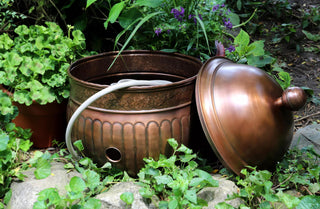  || https://assets.gardeners.com/transform/fe367ace-bdfd-4ced-80ad-b9307fccd8b4/8600213_02V-tif