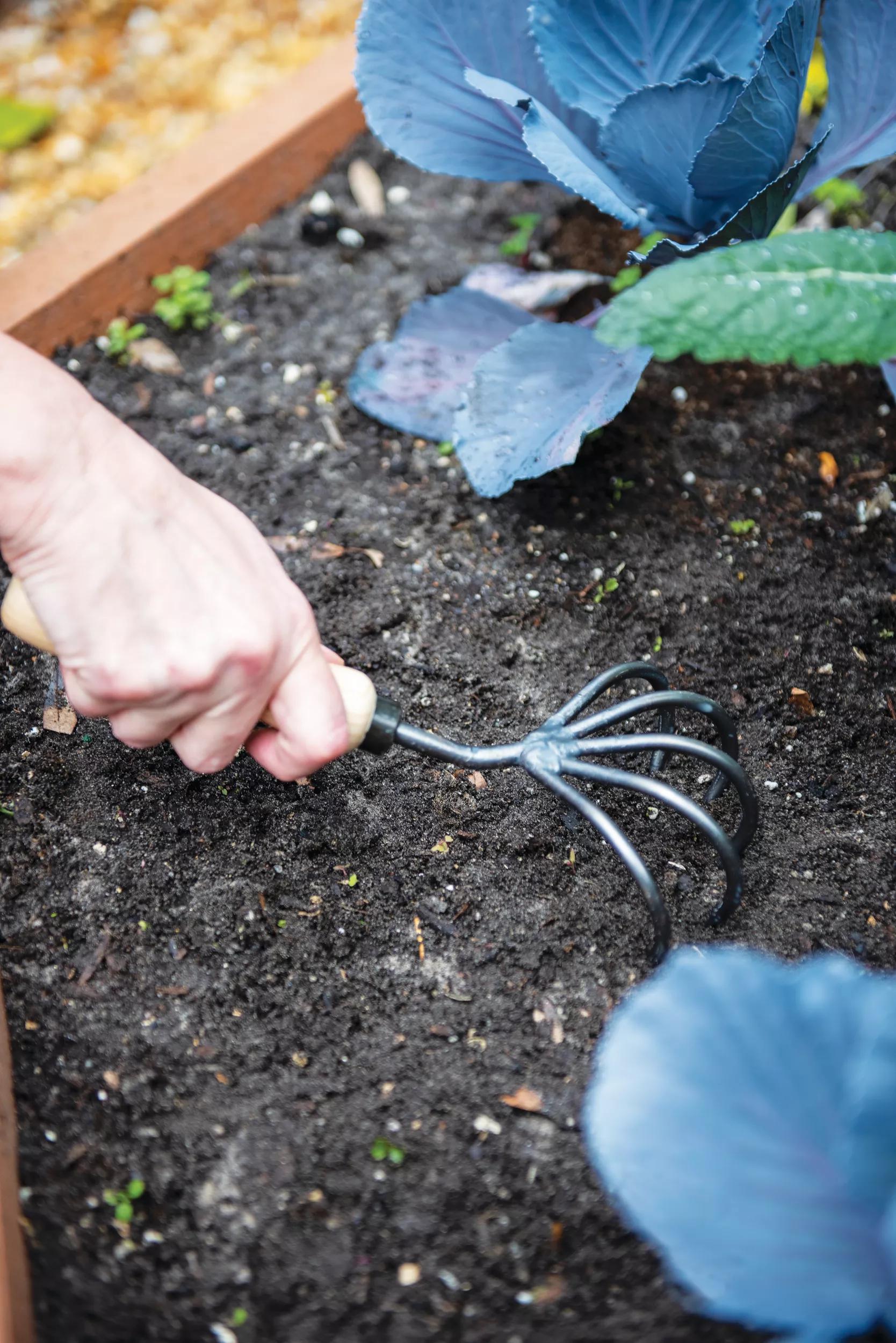indoor plant cultivator Gardener's Lifetime 5-Tine Cultivator with Short Handle