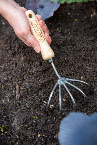  || https://assets.gardeners.com/transform/33a998df-266e-4300-93e7-0866cf44c0be/8600305_2991-tif