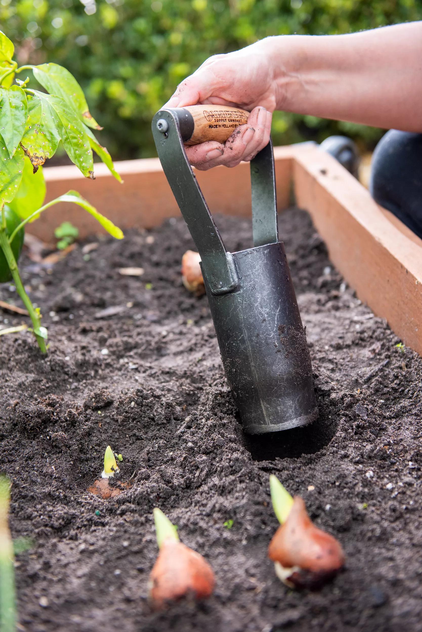 best pots for planting bulbs DeWit® Large Bulb Planting Tool