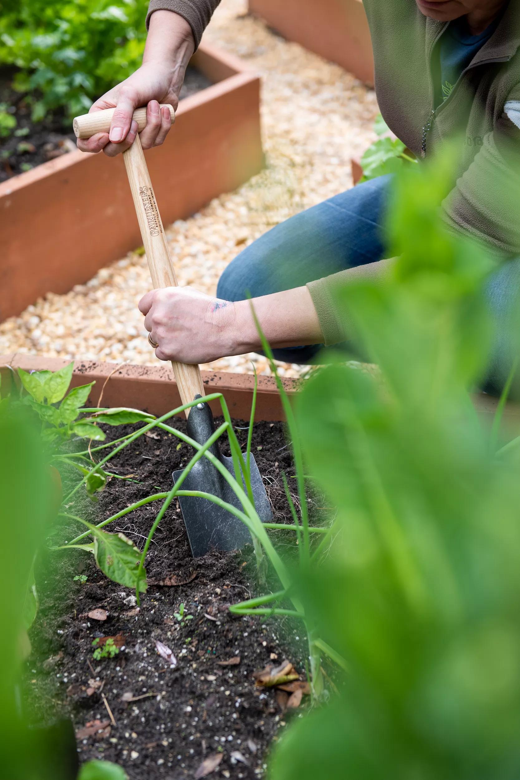 Mini-tuinspade met schaal voor het verplanten van staal robuust Mini-tuinspade met schaal voor het verplanten van staal robuust