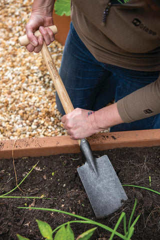  || https://assets.gardeners.com/transform/8f0d130d-ffc2-4317-9350-02819e3fcbfa/8600310_3318-tif