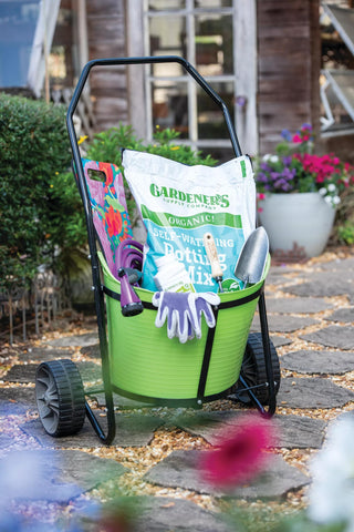  || https://assets.gardeners.com/transform/4f2caa69-d018-4afb-a16b-9897060fc21f/8600331_2570-tif