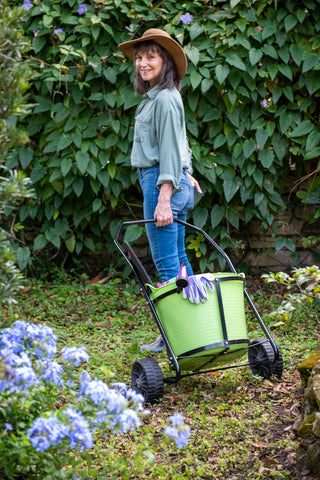  || https://assets.gardeners.com/transform/631e5e41-2884-4180-88a4-1449e6bae230/8600331_2677-tif