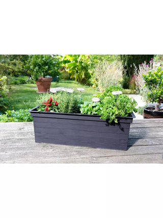  || https://assets.gardeners.com/transform/b8333bd4-4d85-4cf1-9a64-8cce9a44b3a8/8600349_02V