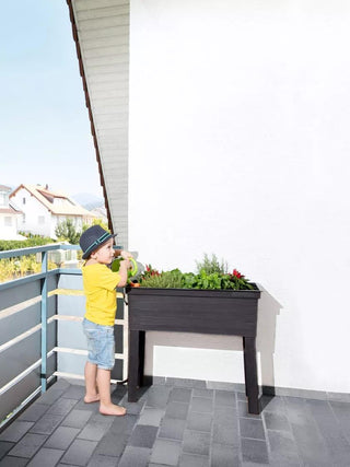  || https://assets.gardeners.com/transform/4e3f05c9-c9e9-4e1e-9294-e4b7bfa35d66/8600349_03V