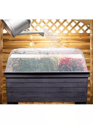  || https://assets.gardeners.com/transform/04256ce0-bed2-4e87-b70f-03bcdcb2a687/8600351_01V_3-4