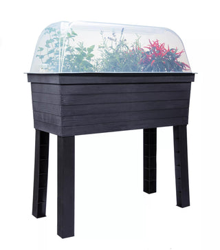  || https://assets.gardeners.com/transform/090a681a-7b03-4062-8b95-5bf81df3f5c5/8600351_05V-tif