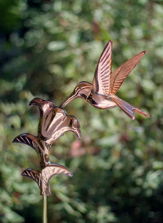  || https://assets.gardeners.com/transform/30101d41-766d-4007-b301-d911c84b0a79/8600377_03V-tif
