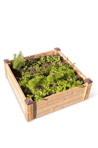  || https://assets.gardeners.com/transform/b5f9c817-f711-4b0c-9776-092d6b8dc10d/8600496_0101-tif