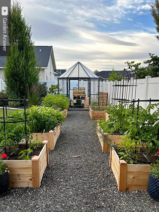  || https://assets.gardeners.com/transform/efa47304-52c1-41c5-a3ed-72c4d21cbe75/8600496_03IN_credit