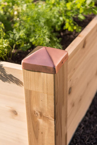  || https://assets.gardeners.com/transform/65a6036f-a6bd-41f1-95b3-2b25873e47be/8600496_0564-tif