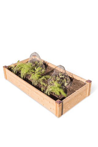  || https://assets.gardeners.com/transform/8bee8b06-49a1-44fa-979d-fef99d91f045/8600497_0100-tif