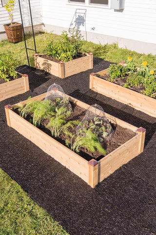  || https://assets.gardeners.com/transform/d4d71112-54cd-42a9-b9b2-e0db862794b9/8600497_0526-tif