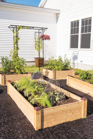  || https://assets.gardeners.com/transform/b359ee4f-e595-413d-9275-7c92a97f773f/8600497_0530-tif