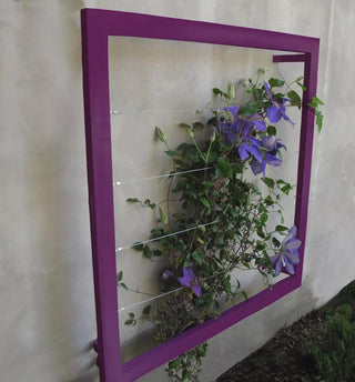  || https://assets.gardeners.com/transform/abf175d1-52fe-4b13-884d-3d628d55a20c/8600512_01V-tif
