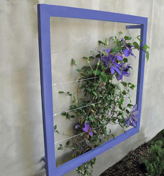  || https://assets.gardeners.com/transform/ef092ade-2a81-479c-a41c-3b7d79948e10/8600512_02V-tif