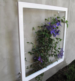  || https://assets.gardeners.com/transform/2d2d4673-a31c-4506-a474-44394348f1ff/8600512_03V-tif
