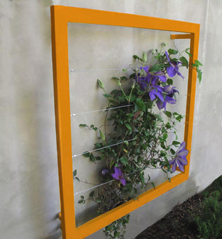  || https://assets.gardeners.com/transform/907f5b54-c8c6-4b1d-80b2-cd17ed7d41eb/8600512_04V-tif