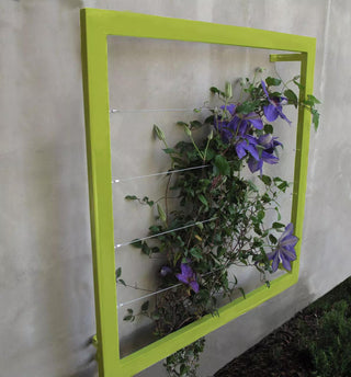  || https://assets.gardeners.com/transform/72922511-fce1-4d90-b0f8-988c938c10da/8600512_05V-tif