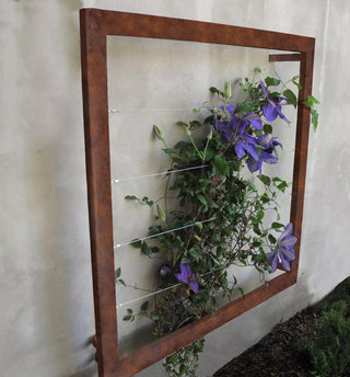  || https://assets.gardeners.com/transform/da259f96-5ffb-46a1-bbf7-de4071bc8c47/8600512_06V-tif