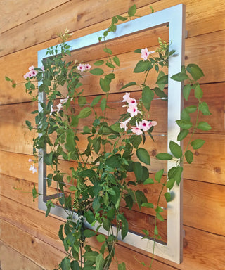  || https://assets.gardeners.com/transform/7014db47-59bc-4d05-8365-d869b0c9b164/8600512_07V-tif