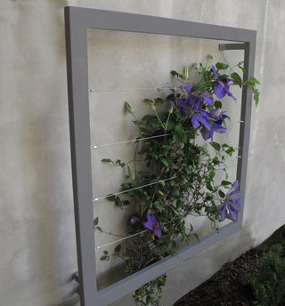  || https://assets.gardeners.com/transform/fb9c2345-9823-4a8b-9be7-bf7803f282ec/8600512_08V-jpg