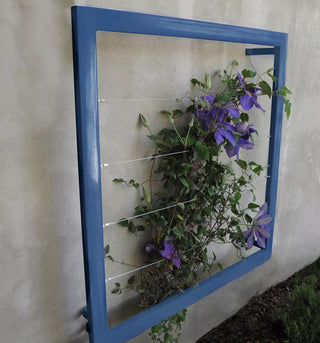  || https://assets.gardeners.com/transform/4aafbea3-e7a1-4b72-a68f-3117a26d88f9/8600512_09V
