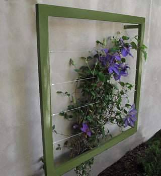 || https://assets.gardeners.com/transform/09d5fd83-d636-436f-82cf-bcbac5a6c5d2/8600512_10V