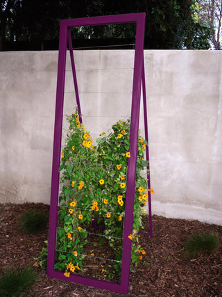  || https://assets.gardeners.com/transform/aa075c71-716d-4dd5-8db0-058f90be0347/8600513_01V-tif