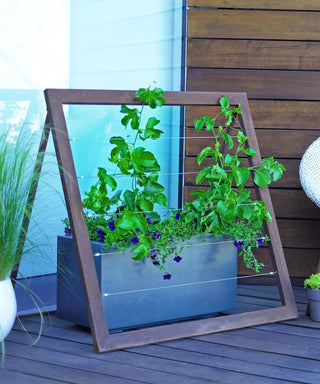  || https://assets.gardeners.com/transform/cda25cbb-f795-477f-b7ae-a61b463b94ec/8600514_03V-tif