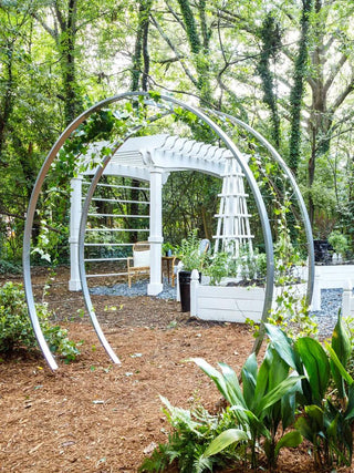  || https://assets.gardeners.com/transform/6b203f29-a96f-4b67-94f7-3392cc2cb0c0/8600515_01IN