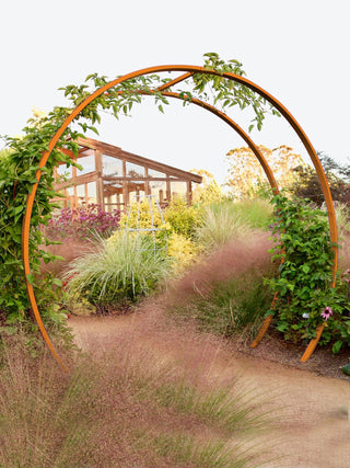  || https://assets.gardeners.com/transform/b7972f40-aab7-4d97-b34d-13fb8783c921/8600515_04V-tif