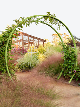  || https://assets.gardeners.com/transform/787d58f7-6e80-4014-891a-9ffe73cab9e7/8600515_05V-tif