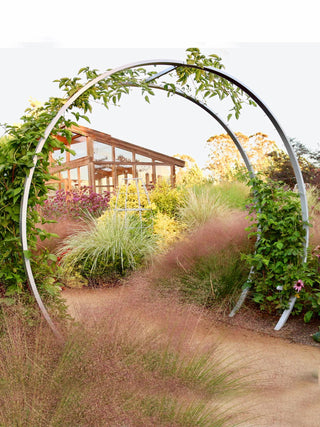  || https://assets.gardeners.com/transform/7f53c9c6-e555-42f8-8e32-7ce20506a2c5/8600515_08V-tif