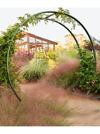  || https://assets.gardeners.com/transform/fbc4a970-8fae-47a0-a938-ad9fde2dfd7d/8600515_13V