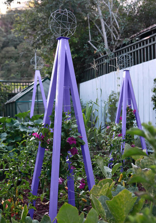  || https://assets.gardeners.com/transform/a134dce0-d1db-4f1d-9c25-7d2f55c81087/8600517_02V-tif
