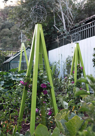  || https://assets.gardeners.com/transform/124a2f1f-e3b7-4bf3-a0e9-77ca476bbd4a/8600517_05V_akoris-garden-tuteur-tif