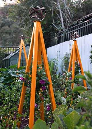  || https://assets.gardeners.com/transform/bd375a81-b3fb-4d36-8ae0-9d98d03d0221/8600517_14V