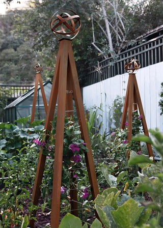  || https://assets.gardeners.com/transform/32672002-2b0e-497f-b72f-0b19e28a11eb/8600517_15V