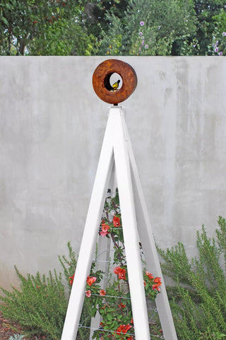  || https://assets.gardeners.com/transform/d6276924-6bdd-415a-b78c-4a8b2baed039/8600525_03V-tif