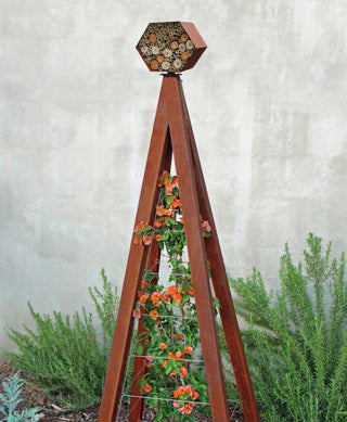  || https://assets.gardeners.com/transform/fbf9d8f1-6bc5-43b0-9cff-03f681ed4401/8600532_06V-tif