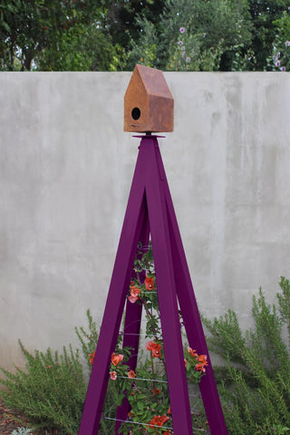  || https://assets.gardeners.com/transform/d5e3f81b-750b-4555-a1e2-730d01f8f23c/8600538_02V-tif