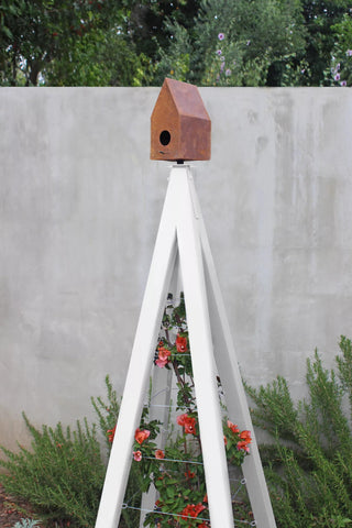  || https://assets.gardeners.com/transform/9e9fe596-e61c-4e91-8858-260c424fd61d/8600538_03V-tif