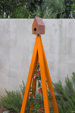  || https://assets.gardeners.com/transform/917ad06f-3503-4931-9a1e-ea82fa6e3a8a/8600538_04V-tif